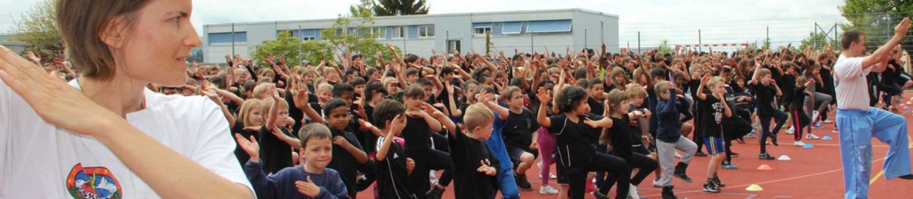 Kamfpkunst Kung Fu für Schulen